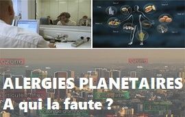 Les 10 derniers docu-articles