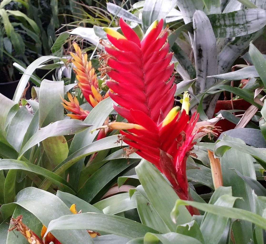 un jour je te rencontrerai