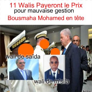 11 Walis dans l'oeil du cyclone, Bousmaha Mohamed en tête.