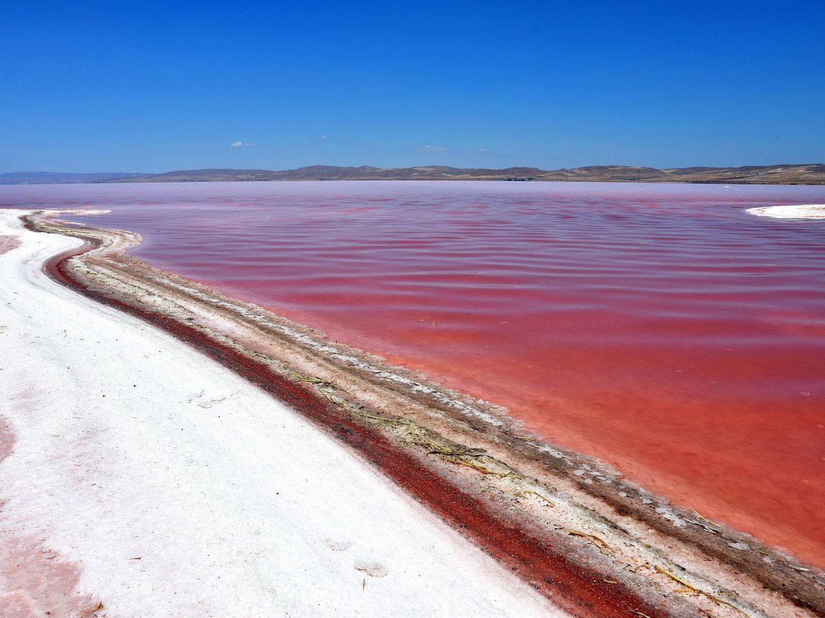 Le Lac turc Tuz Gölü devient rouge vif Le blog de Ben Garneau