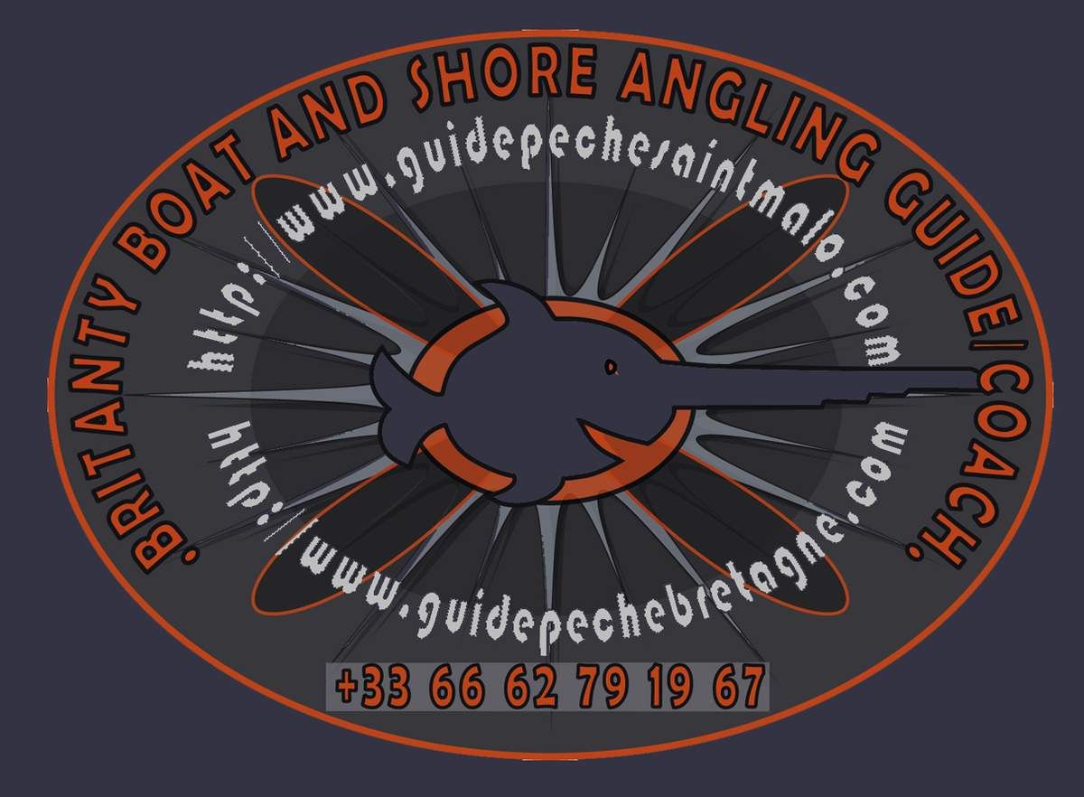 Salt Water Fishing in France, Brittany, in Saint Malo, Dinard, Cancale, come to boat and shore fishing. Seabass soft and hard bait fishing