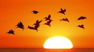 RECHAUFFEMENT CLIMATIQUE : et si le soleil était le grand fautif ?