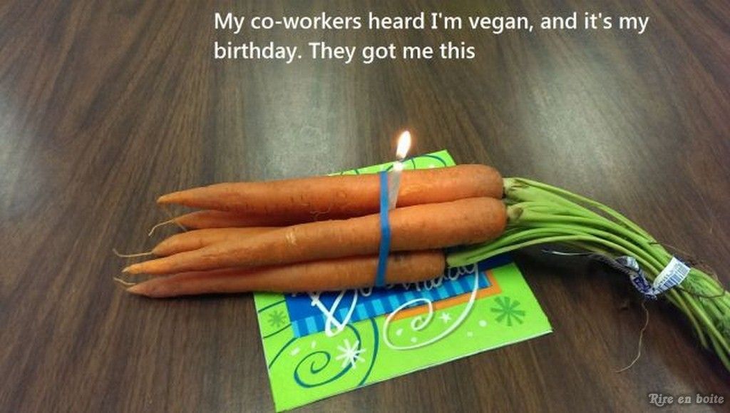Vegan Birthday Cake Meme Vegan Birthday Cake Meme