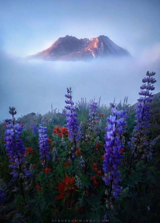 La beauté est partout dans la nature (42 Photos)