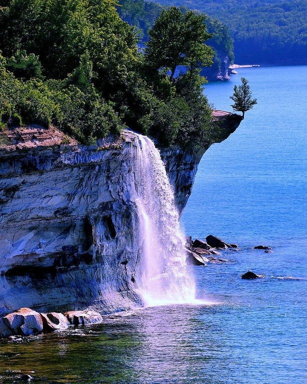 La beauté est partout dans la nature (42 Photos)