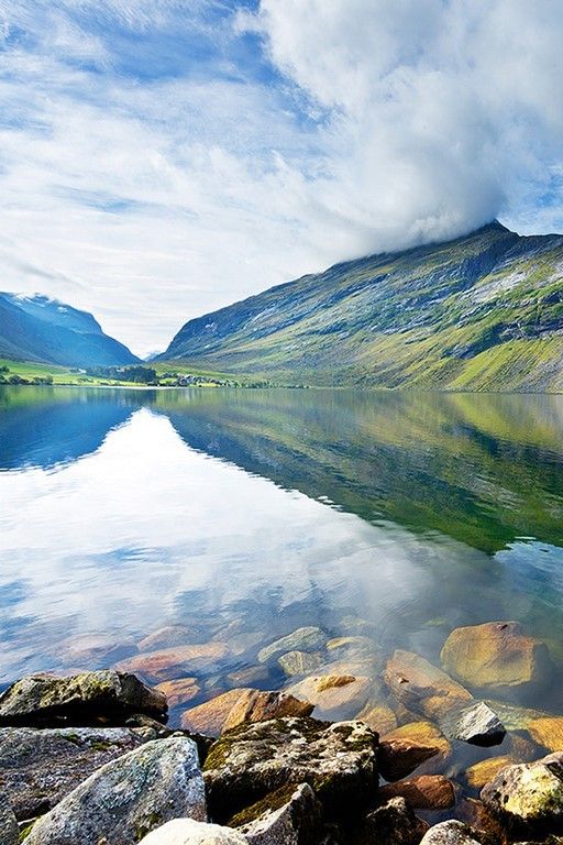 La beauté est partout dans la nature (42 Photos)
