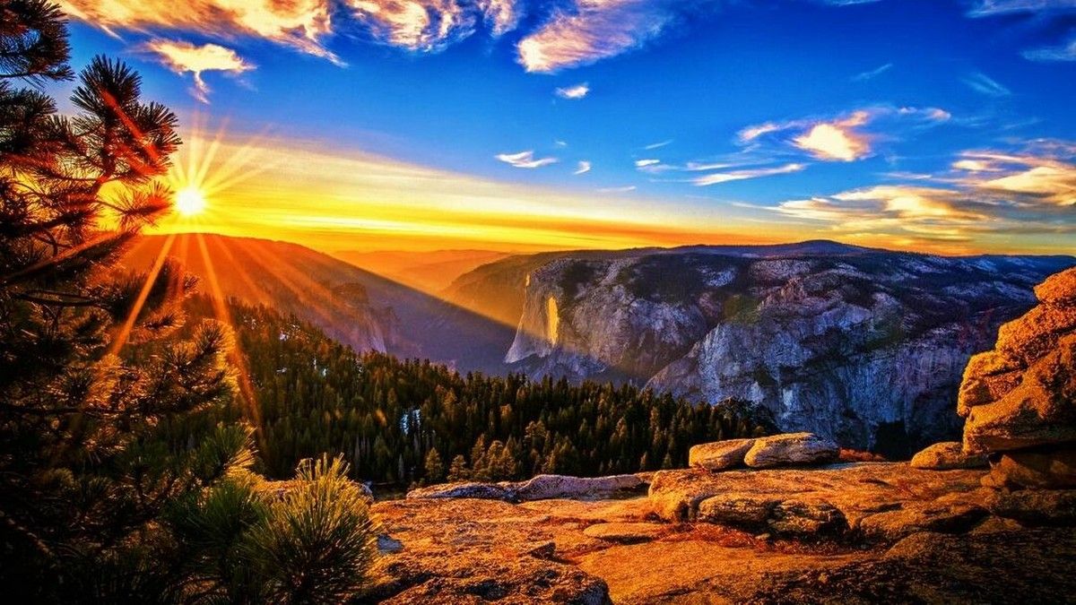 La beauté est partout dans la nature (42 Photos)