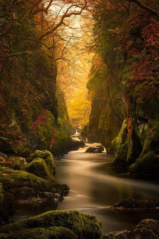 La beauté est partout dans la nature (42 Photos)