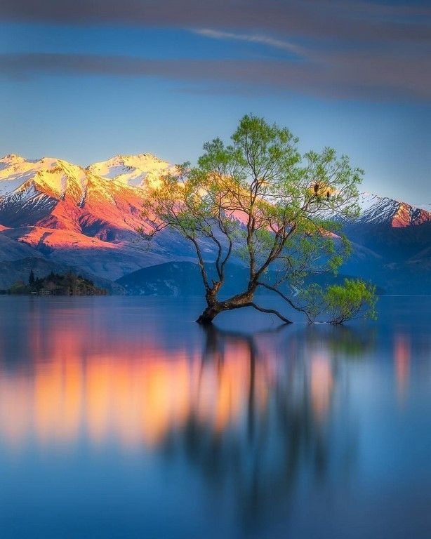 La beauté est partout dans la nature (42 Photos)