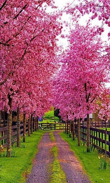 La beauté est partout dans la nature (42 Photos)