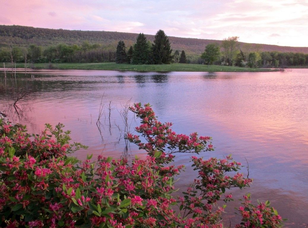 La beauté est partout dans la nature (42 Photos)