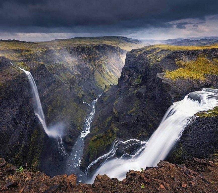 La beauté est partout dans la nature (42 Photos)