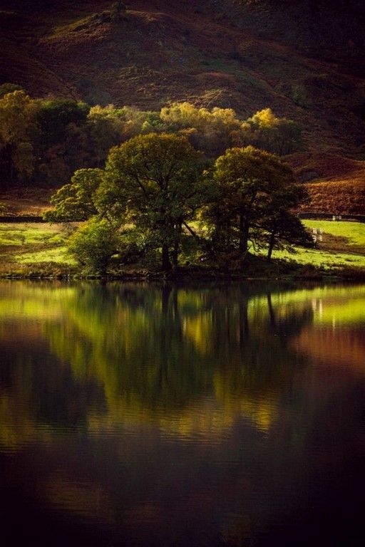La beauté est partout dans la nature (42 Photos)