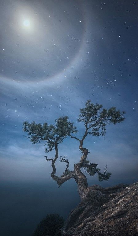 La beauté est partout dans la nature (42 Photos)