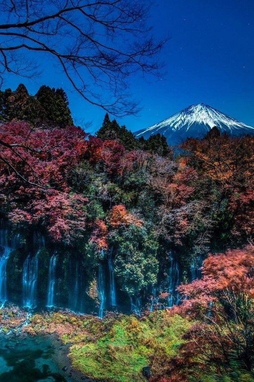 La beauté est partout dans la nature (42 Photos)