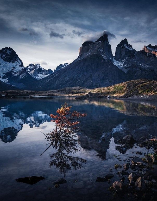 La beauté est partout dans la nature (42 Photos)