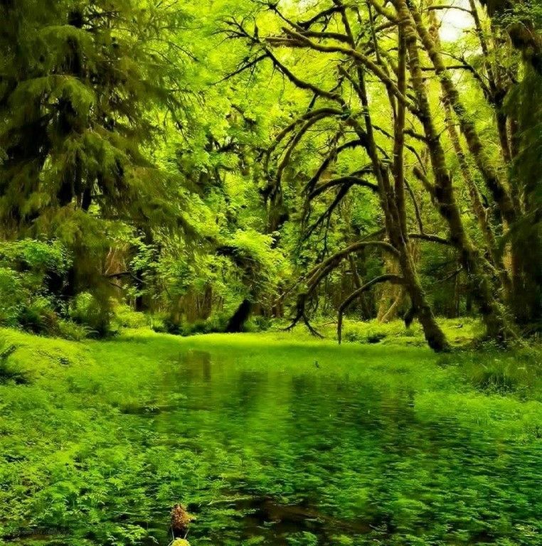 La beauté est partout dans la nature (42 Photos)