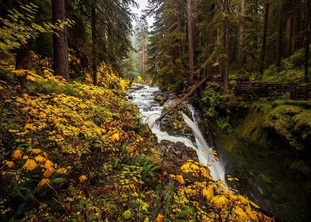 La beauté est partout dans la nature (42 Photos)
