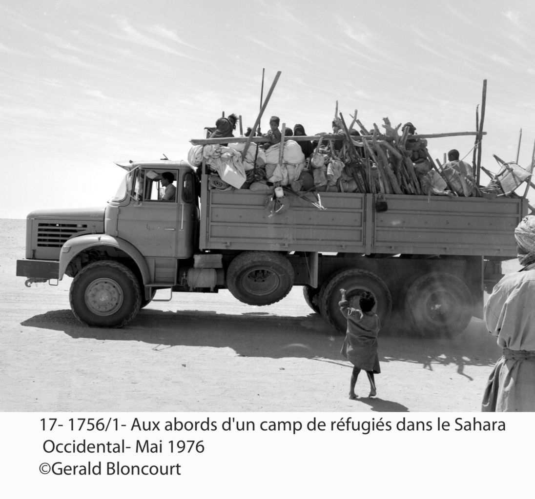 LE FRONT POLISARIO : SAHARA OCCIDENTAL