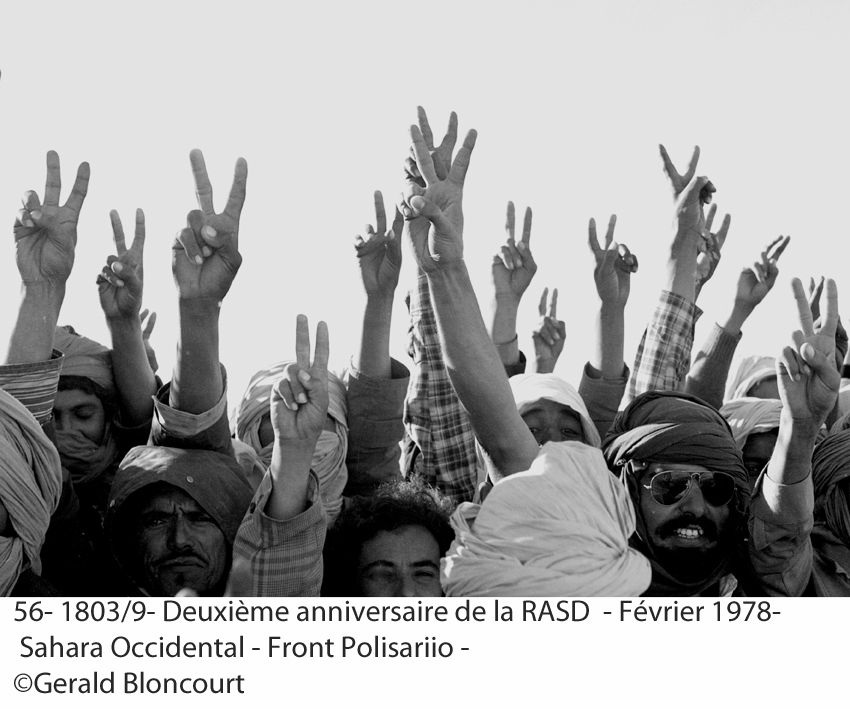 LE FRONT POLISARIO : SAHARA OCCIDENTAL