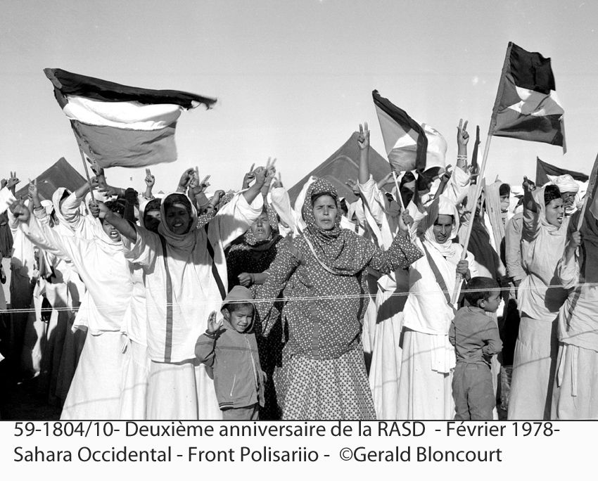 LE FRONT POLISARIO : SAHARA OCCIDENTAL