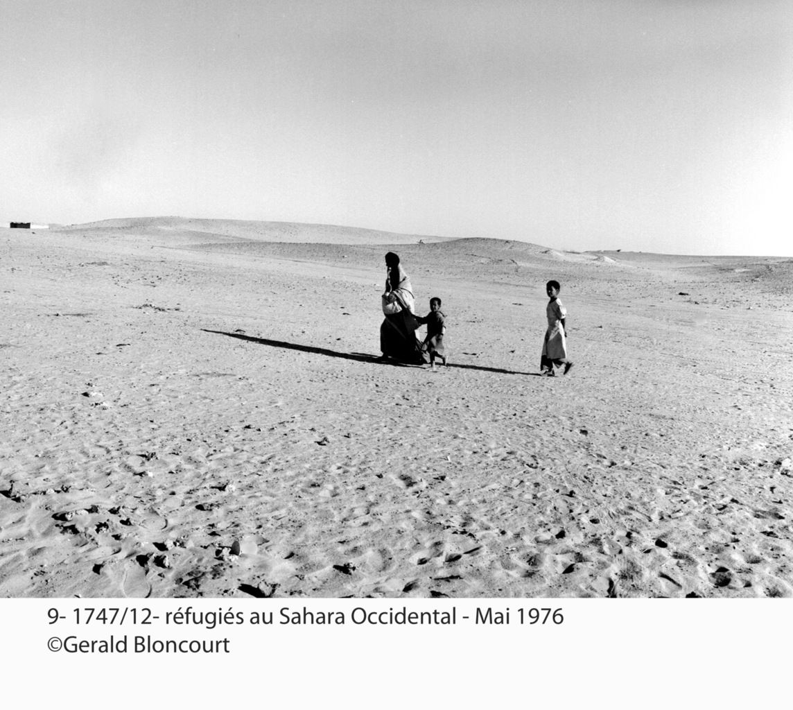 LE FRONT POLISARIO : SAHARA OCCIDENTAL