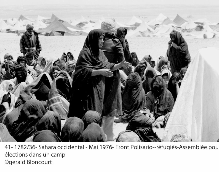 LE FRONT POLISARIO : SAHARA OCCIDENTAL