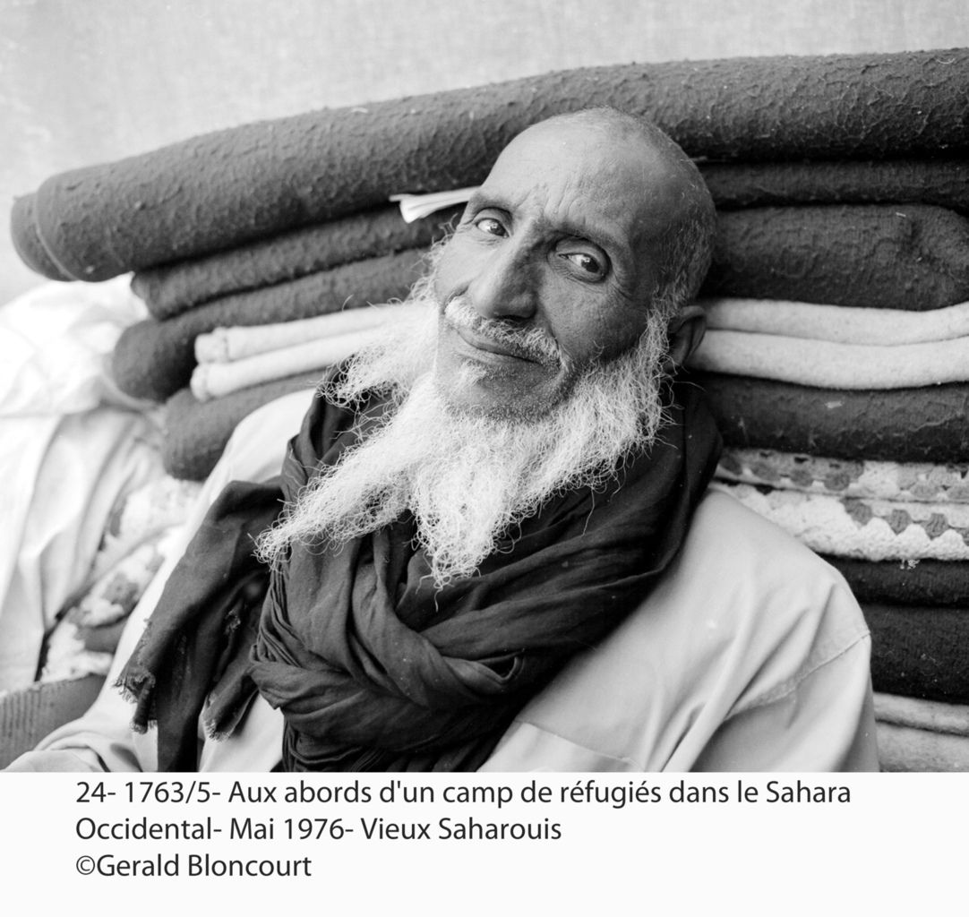 LE FRONT POLISARIO : SAHARA OCCIDENTAL