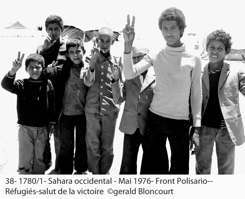LE FRONT POLISARIO : SAHARA OCCIDENTAL