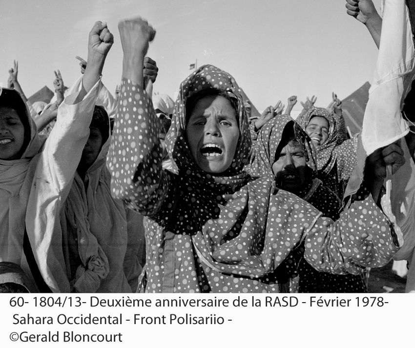 LE FRONT POLISARIO : SAHARA OCCIDENTAL