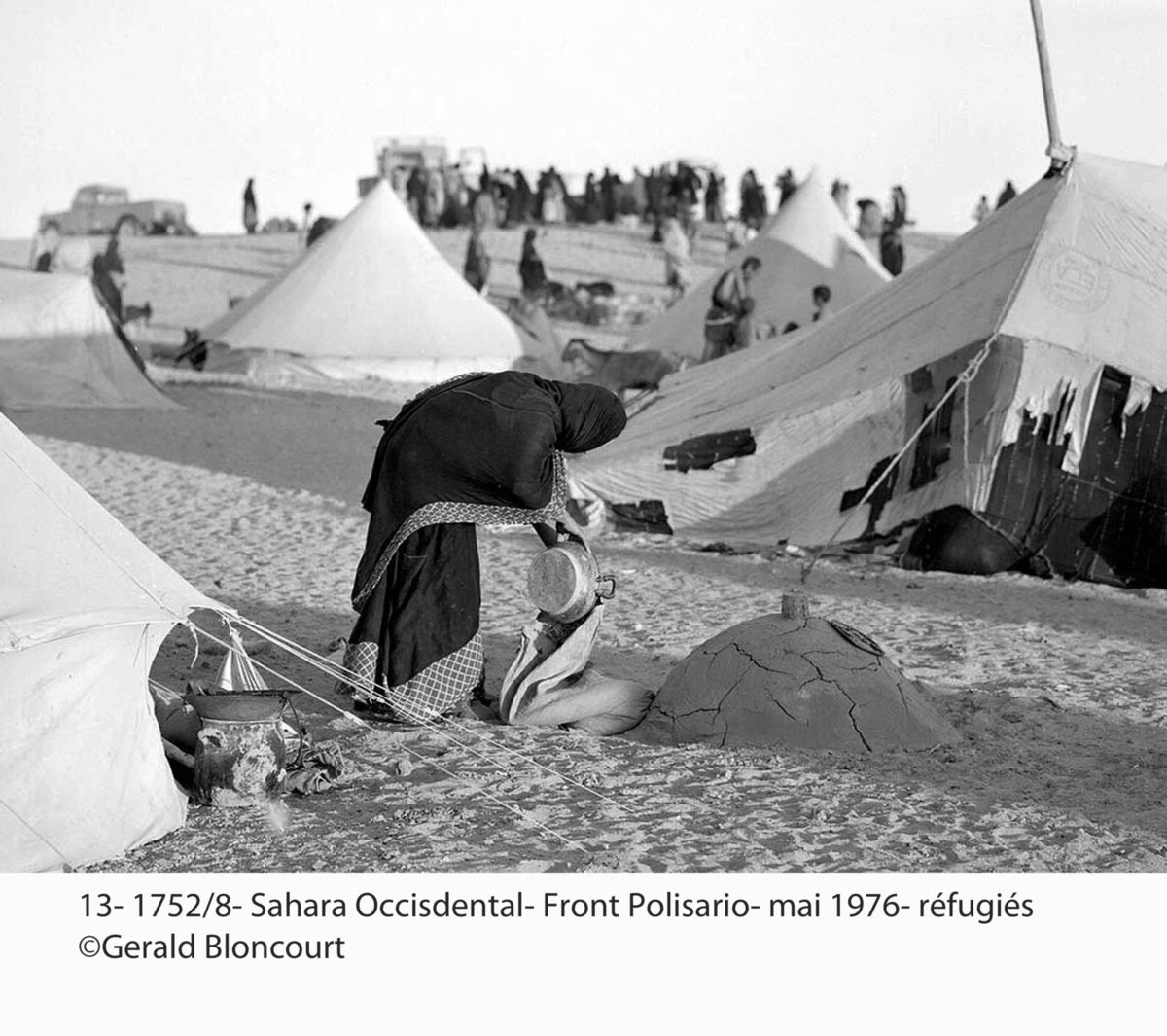 LE FRONT POLISARIO : SAHARA OCCIDENTAL