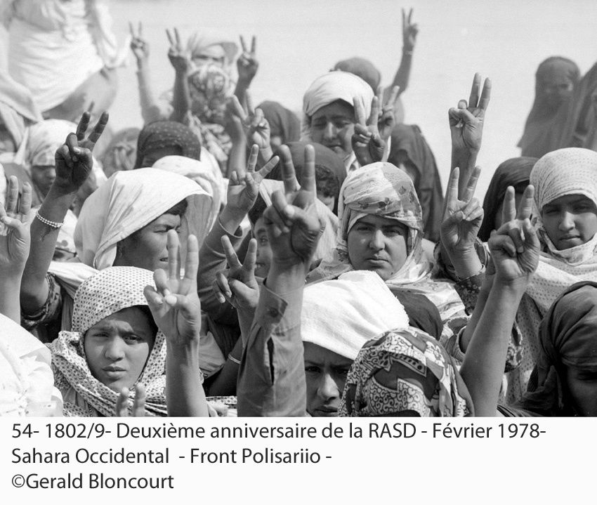 LE FRONT POLISARIO : SAHARA OCCIDENTAL