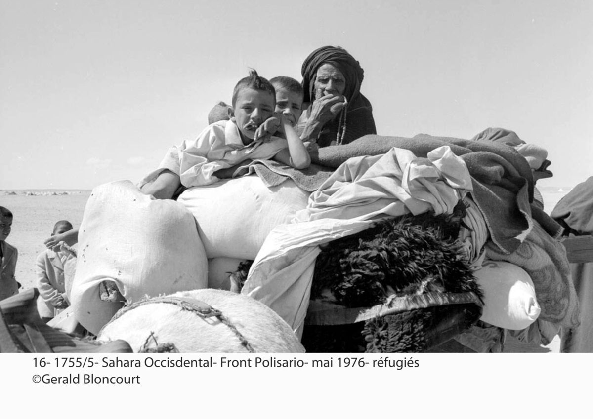 LE FRONT POLISARIO : SAHARA OCCIDENTAL