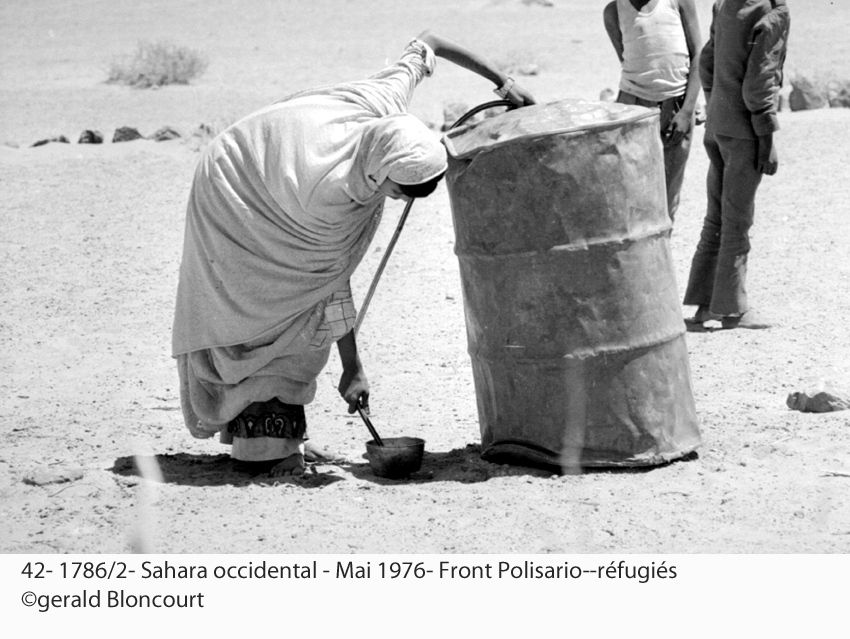 LE FRONT POLISARIO : SAHARA OCCIDENTAL