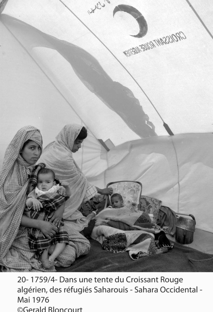 LE FRONT POLISARIO : SAHARA OCCIDENTAL
