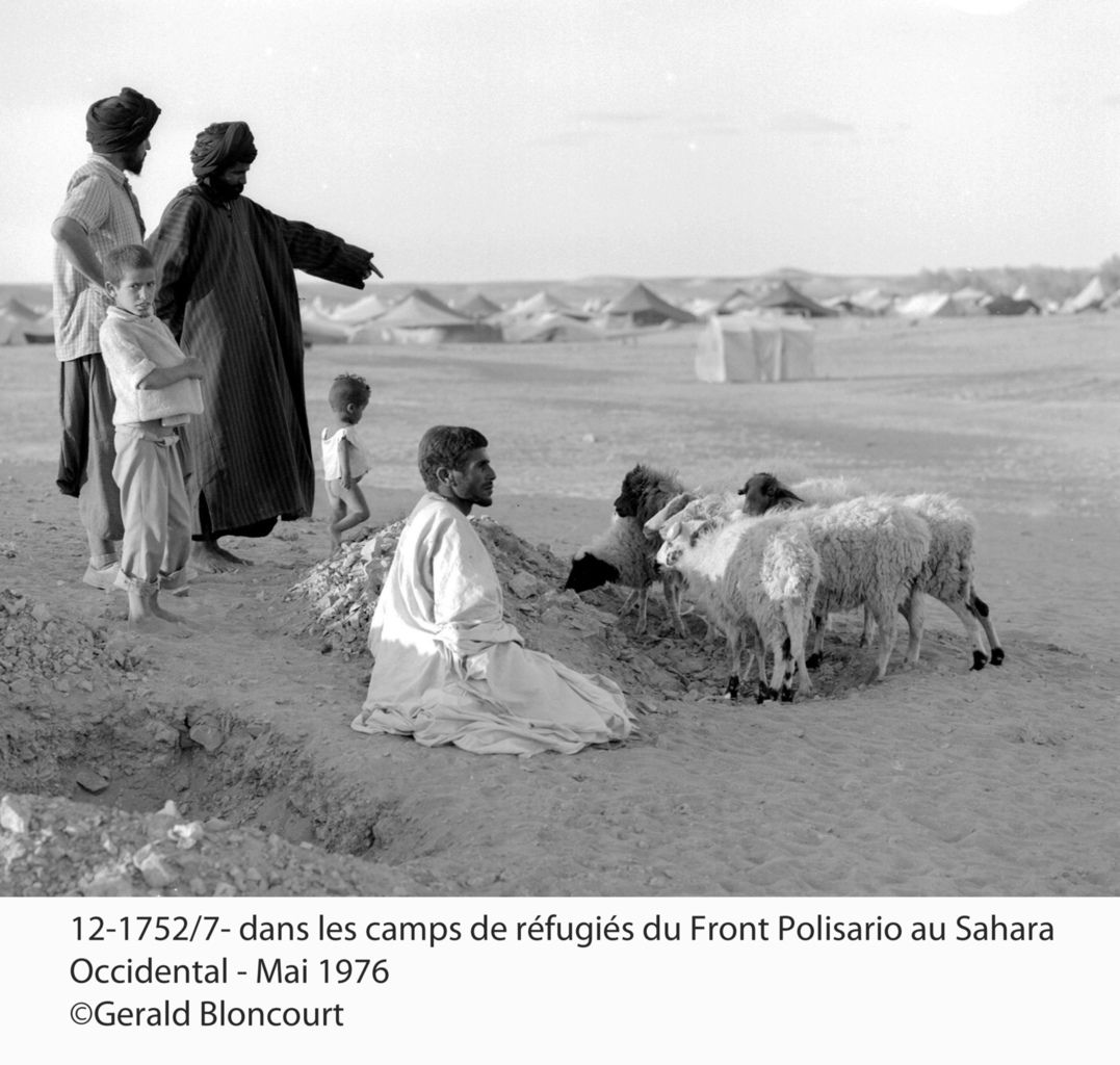 LE FRONT POLISARIO : SAHARA OCCIDENTAL