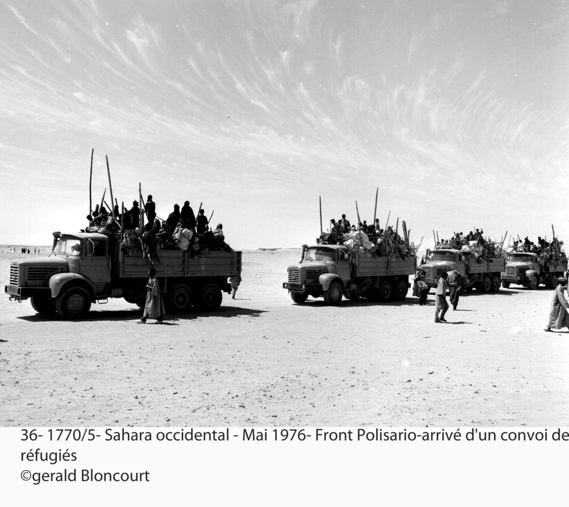 LE FRONT POLISARIO : SAHARA OCCIDENTAL