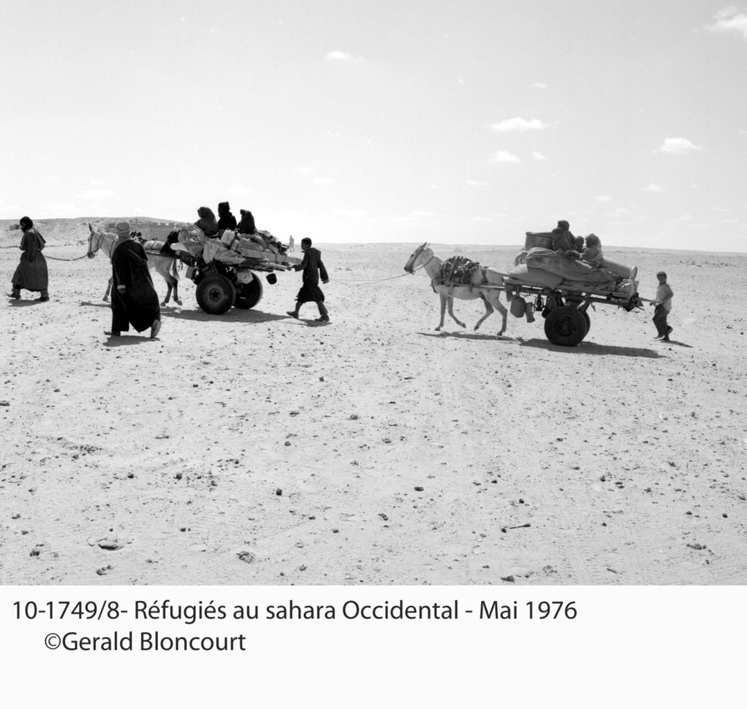LE FRONT POLISARIO : SAHARA OCCIDENTAL