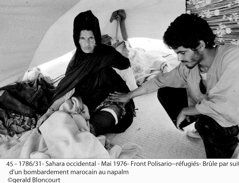 LE FRONT POLISARIO : SAHARA OCCIDENTAL