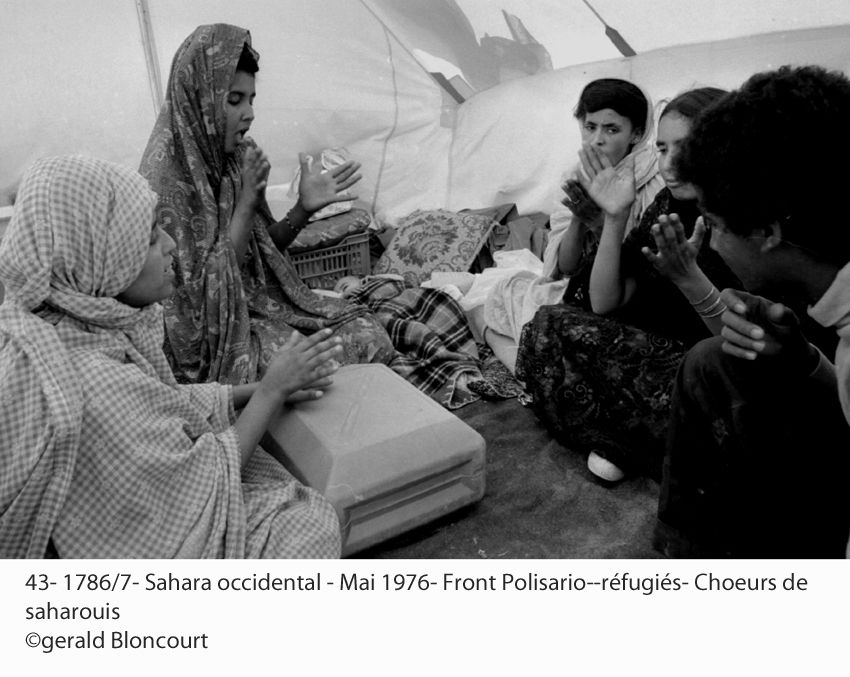 LE FRONT POLISARIO : SAHARA OCCIDENTAL