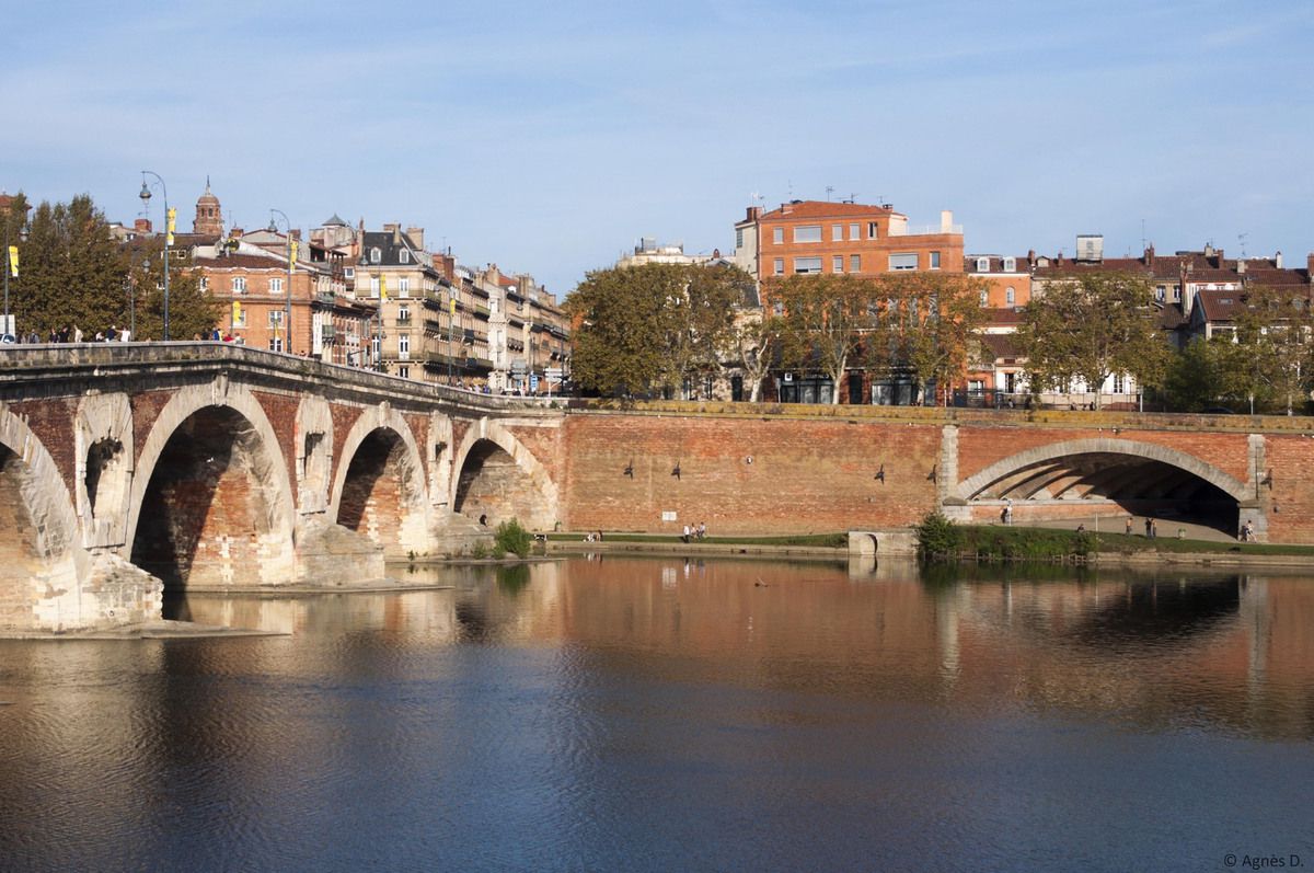 Le pont Neuf (Toulouse)