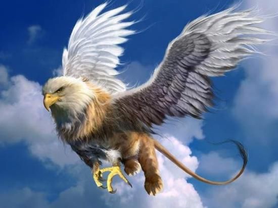 Griffon - Harry-Potter-Les-animaux-fantastiques.over-blog.com Griffon - Harry-Potter-Les-animaux-fantastiques.over-blog.com