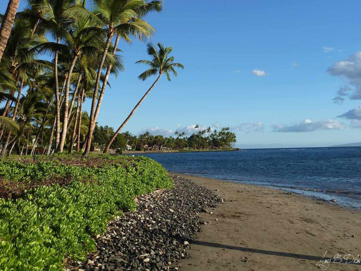 Hawaii, &amp;quot;The Aloha State&amp;quot; - Regards Géographiques sur le Monde