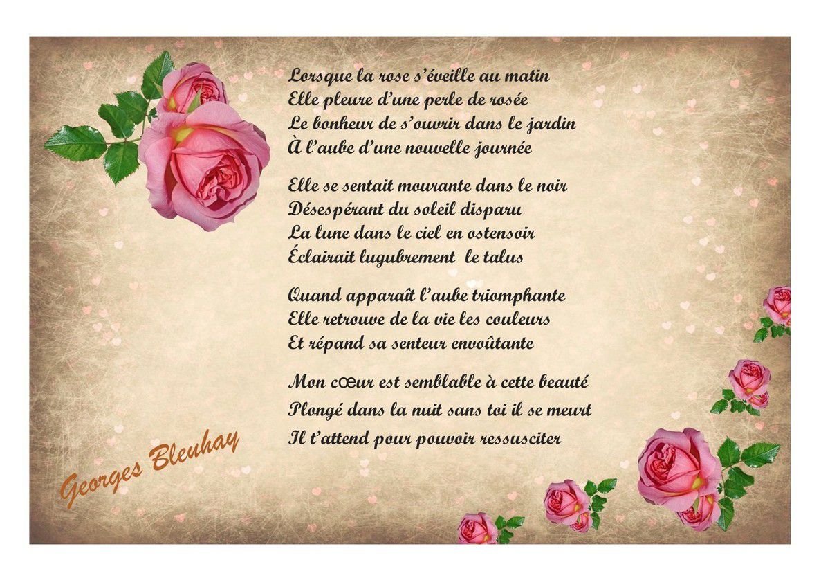 La rose et la rosée du matin - Le blogue de Georges Bleuhay le poète de  Méry-sur-Ourthe