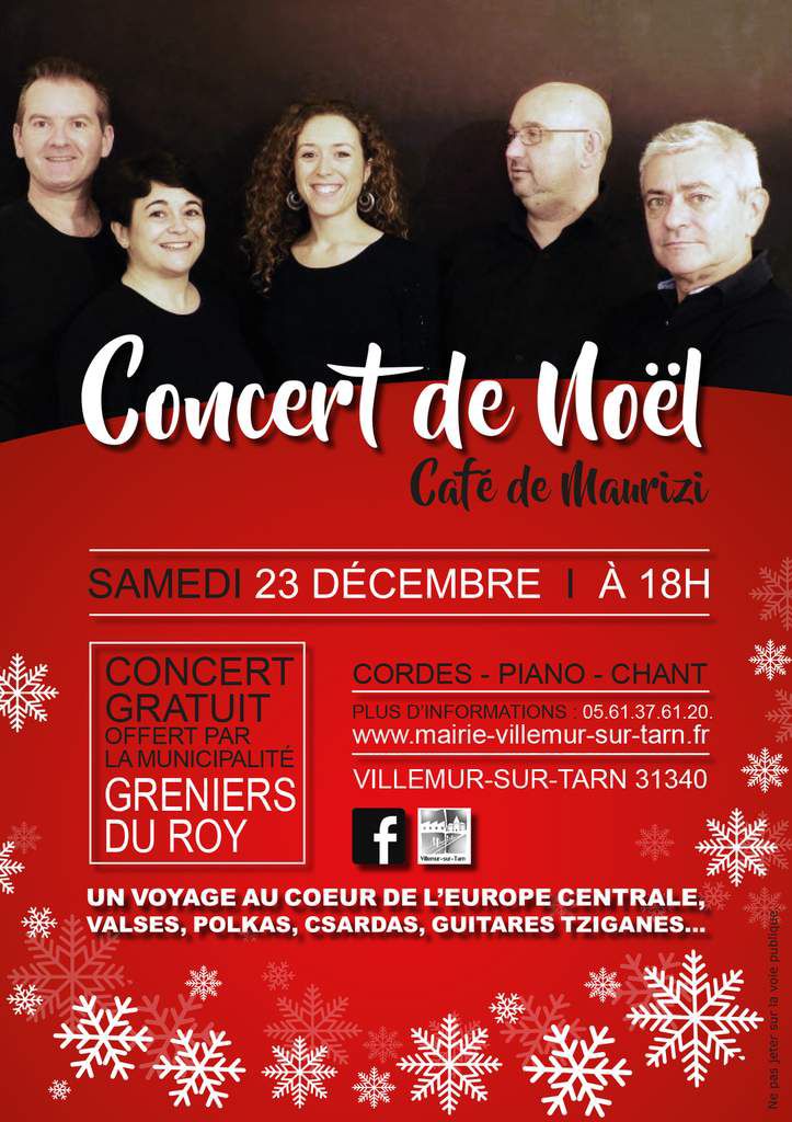 salle concert villemur sur tarn