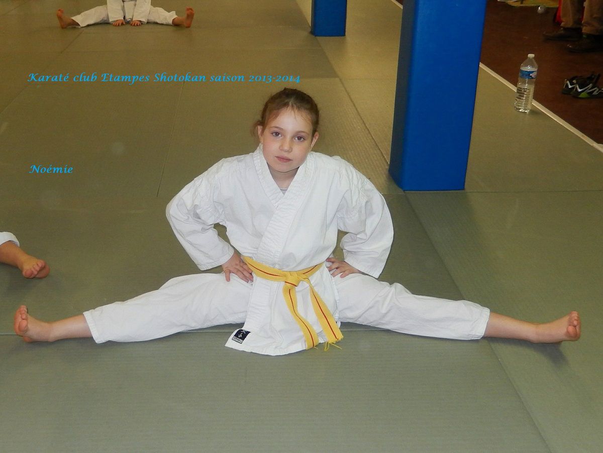 طوف شائع كتاب مدرسي الاتجاه حي مفوض passage ceinture jaune karate shotokan  - afsassociation.org