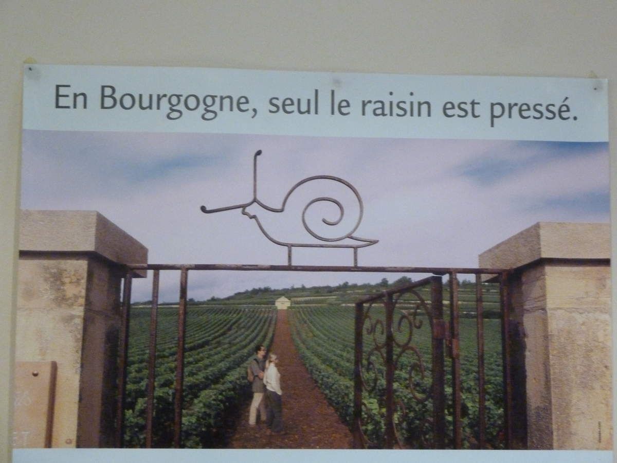 Deux jours pour découvrir des producteurs en Bourgogne