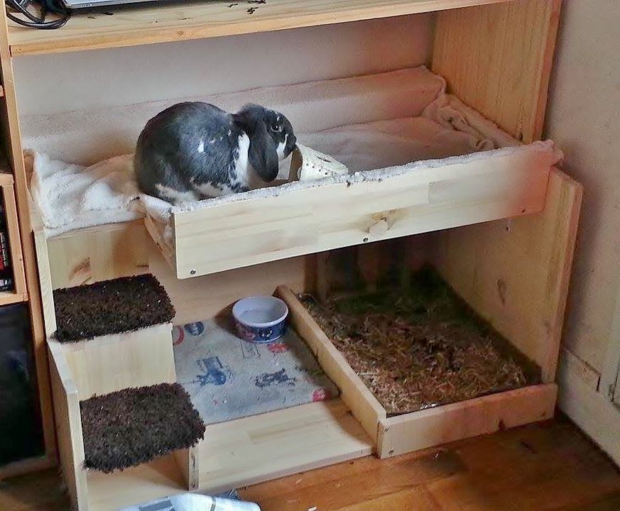 amenagement lapin appartement
