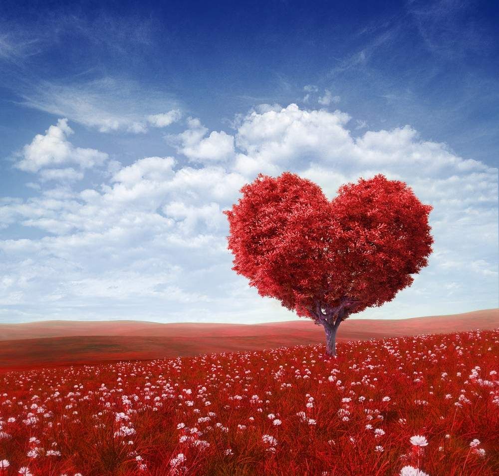 Le Chemin De L Amour L'amour, un chemin rempli d'embûche. - Le journal d'Élise