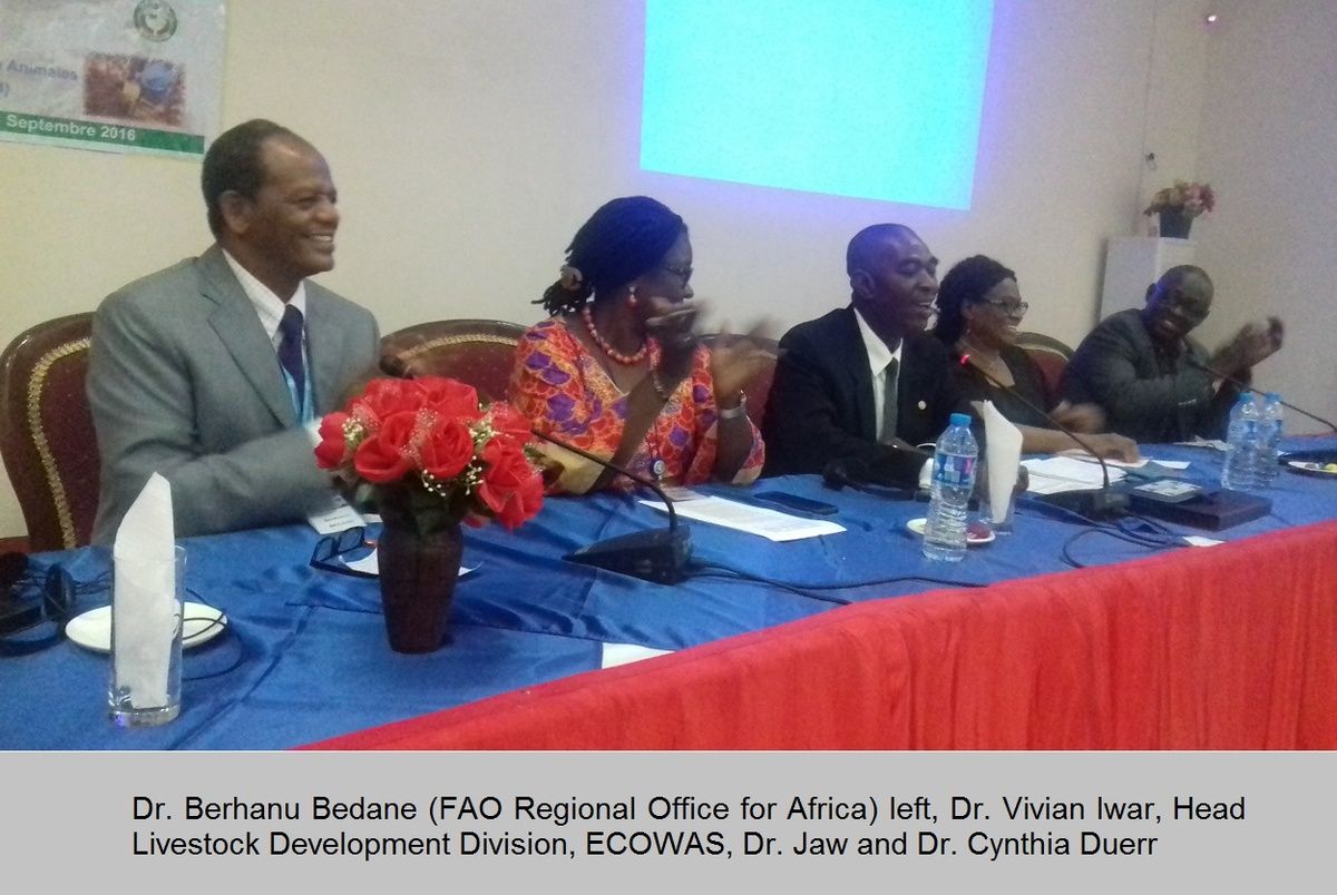 Experts List Way Forward on Animal Health